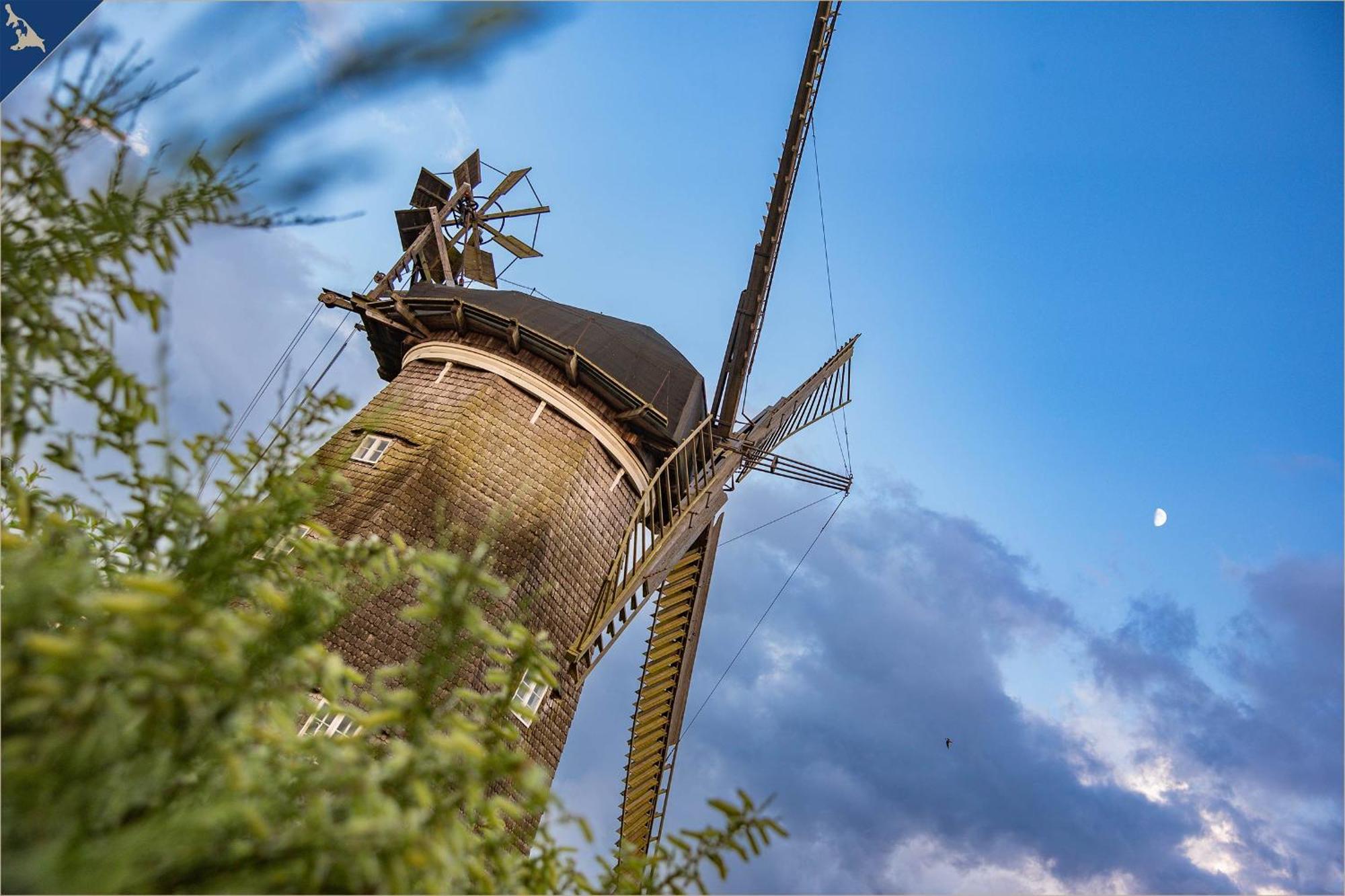 Vila Waldsiedlung Dhh Waldhaus 6 Korswandt Exteriér fotografie